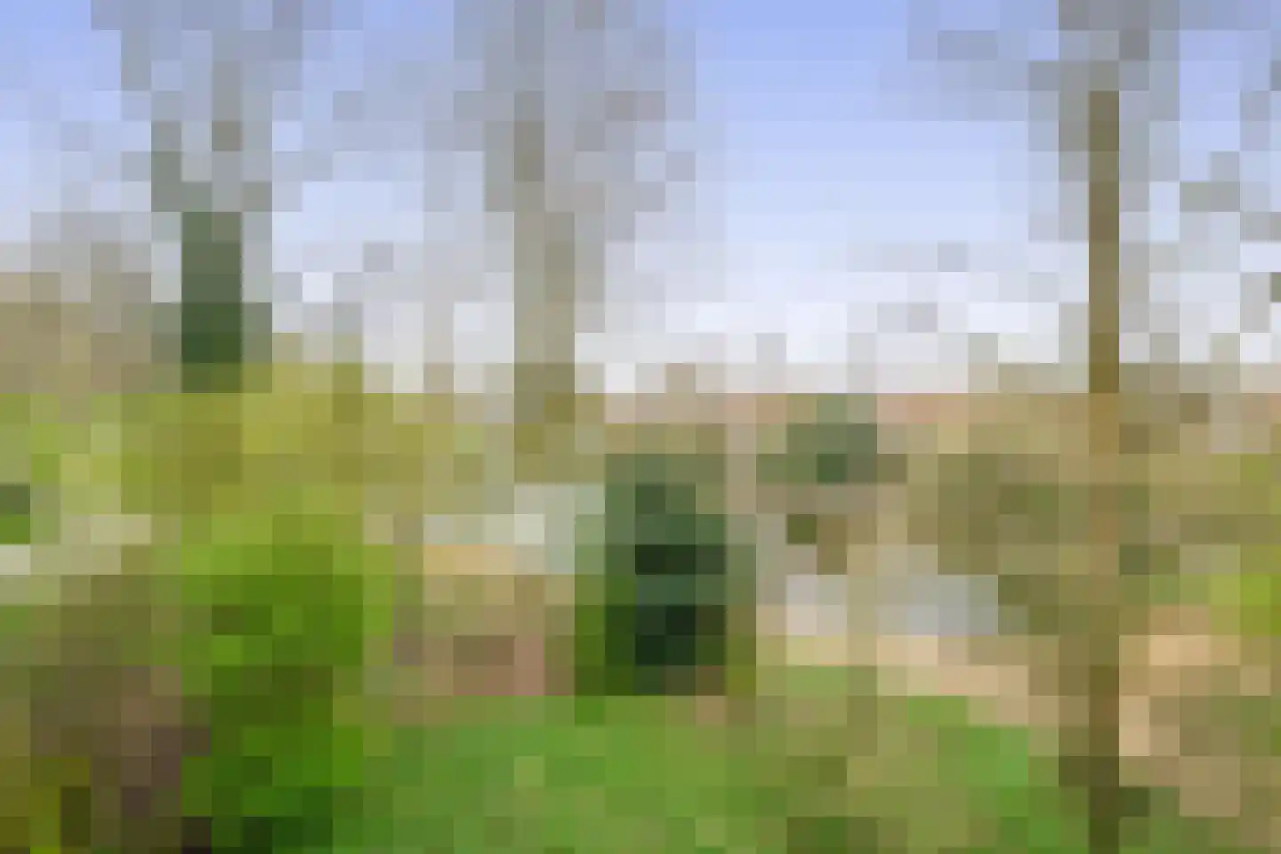 Aert van Neslaan 246 Oegstgeest thumbnail 19