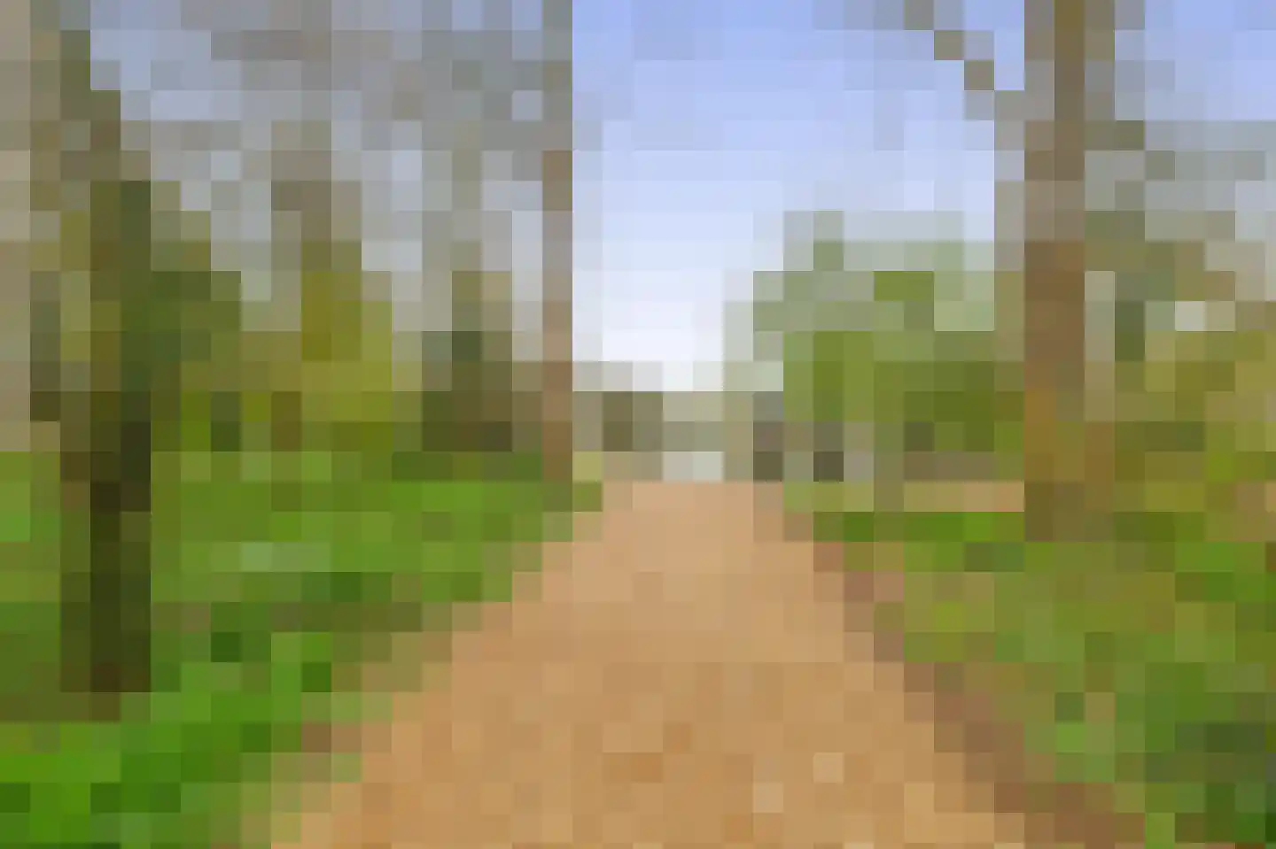 Aert van Neslaan 246 Oegstgeest thumbnail 38
