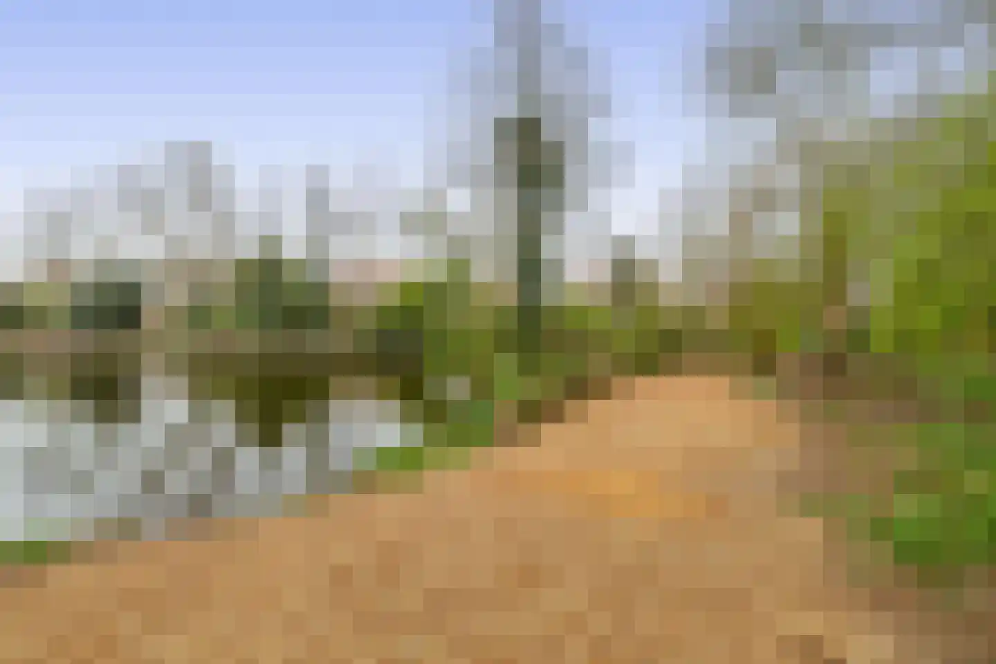 Aert van Neslaan 246 Oegstgeest thumbnail 39