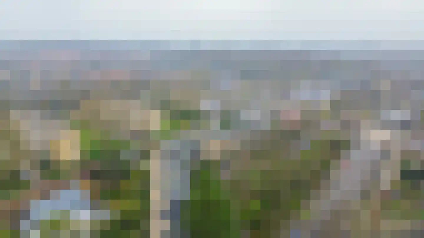 Aert van Neslaan 246 Oegstgeest thumbnail 41