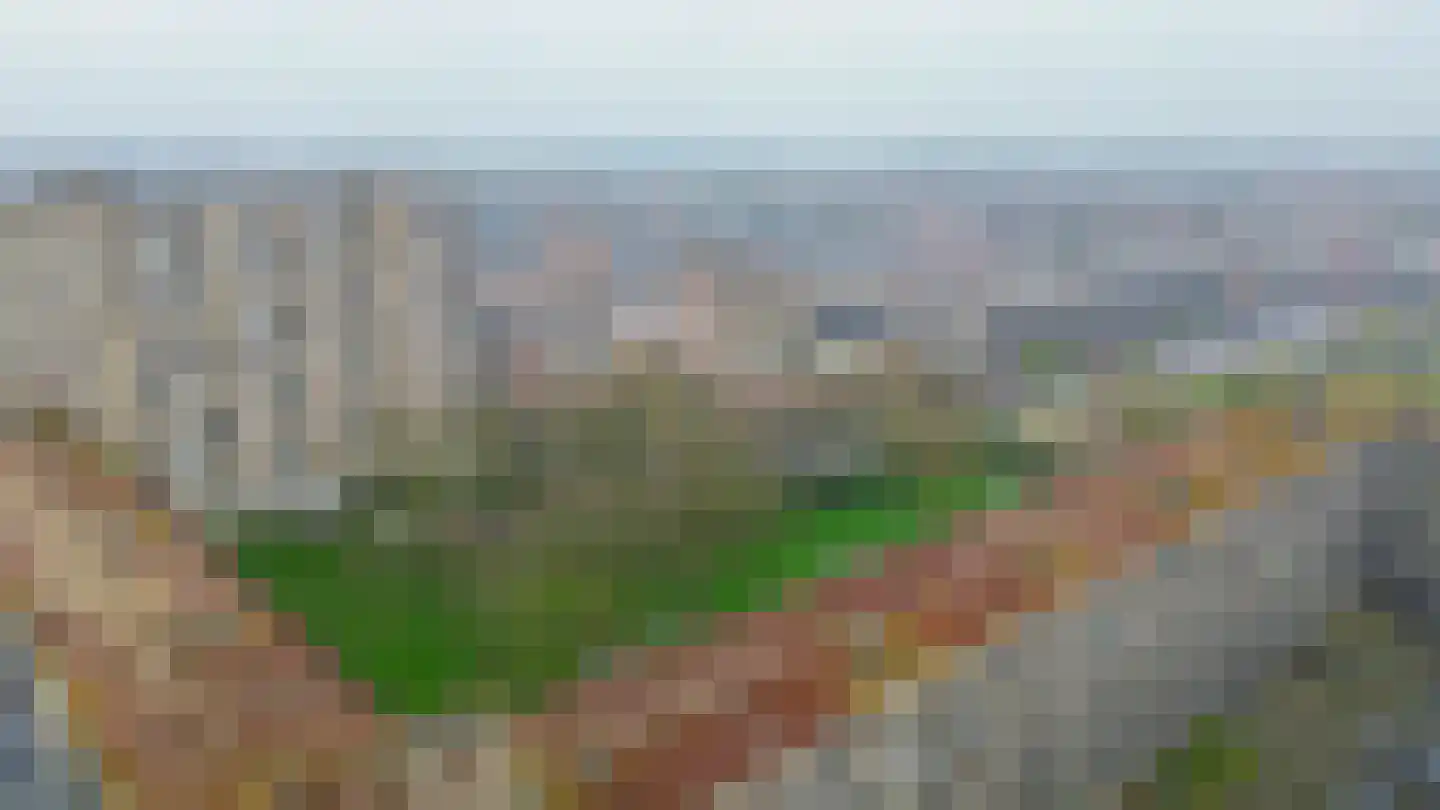 Aert van Neslaan 246 Oegstgeest thumbnail 42