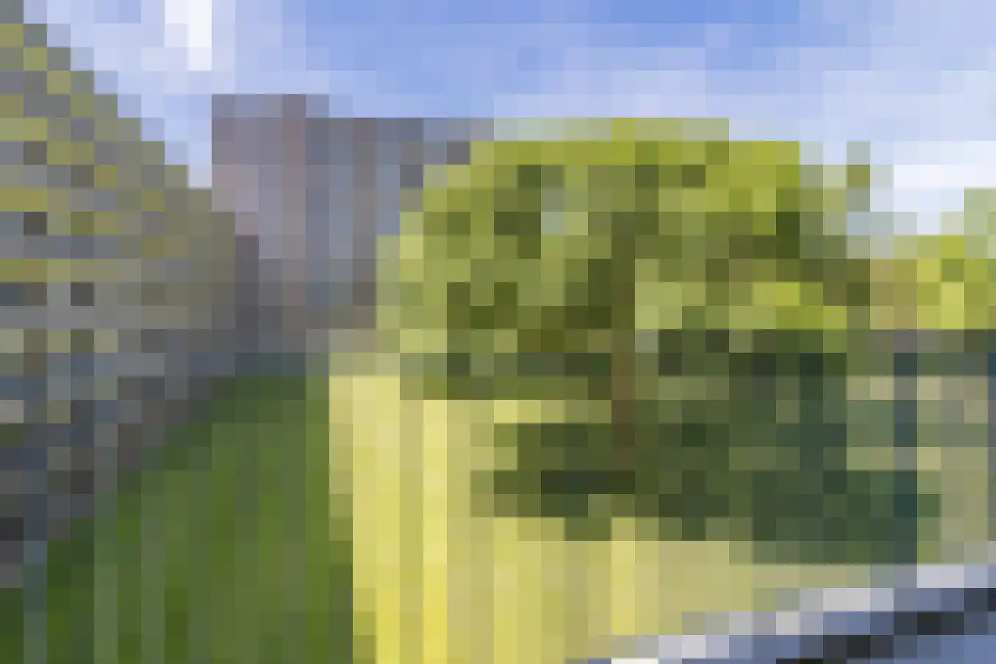 Aert van Neslaan 311 Oegstgeest thumbnail 27