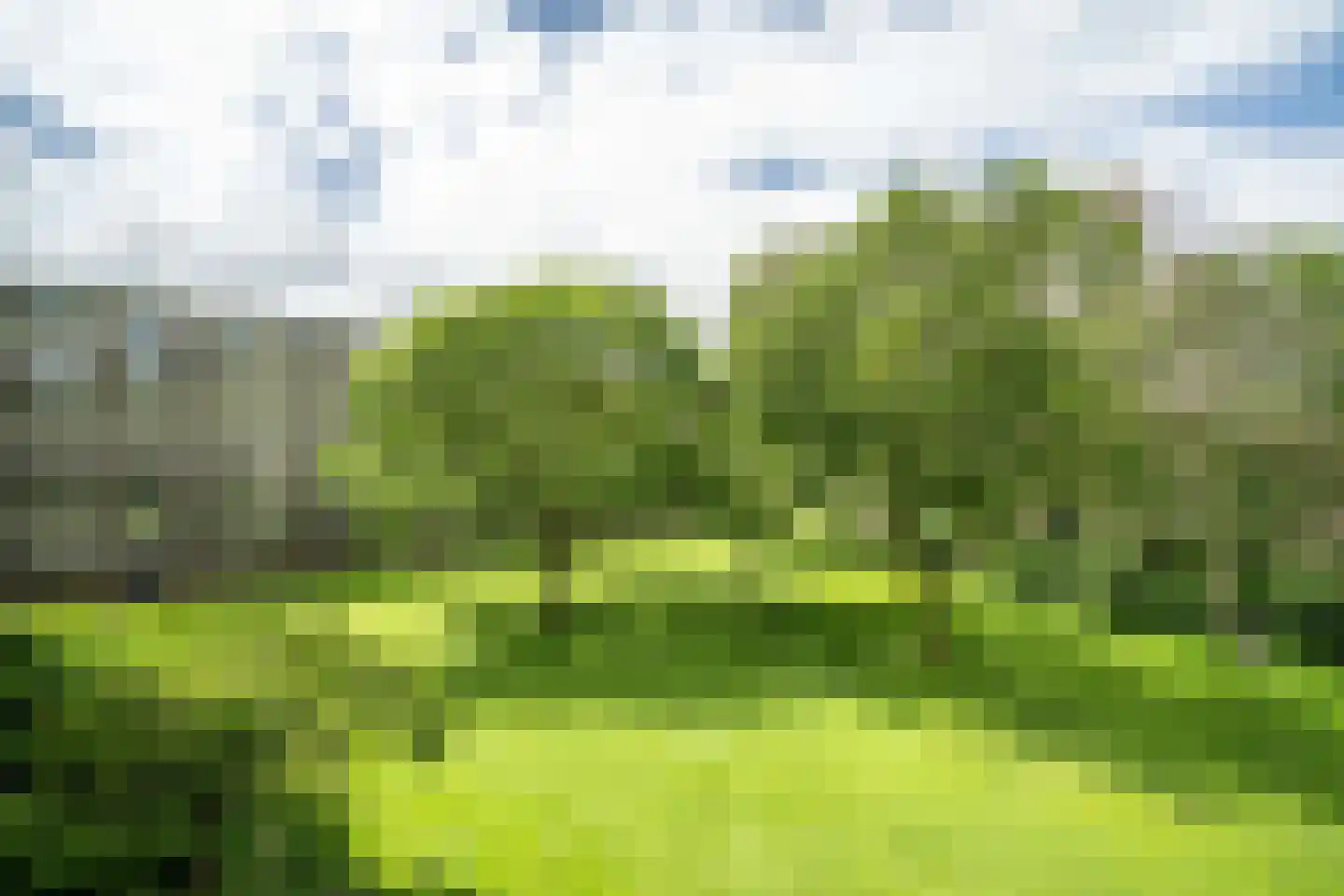 Aert van Neslaan 316 Oegstgeest thumbnail 12