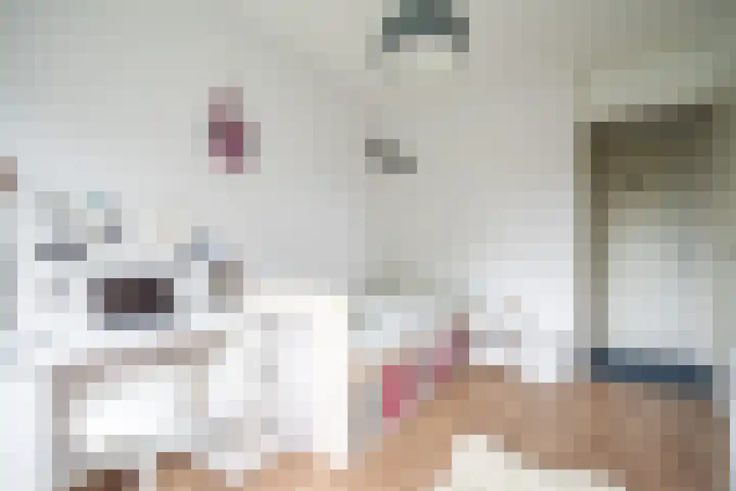 Aert van Neslaan 316 Oegstgeest thumbnail 26