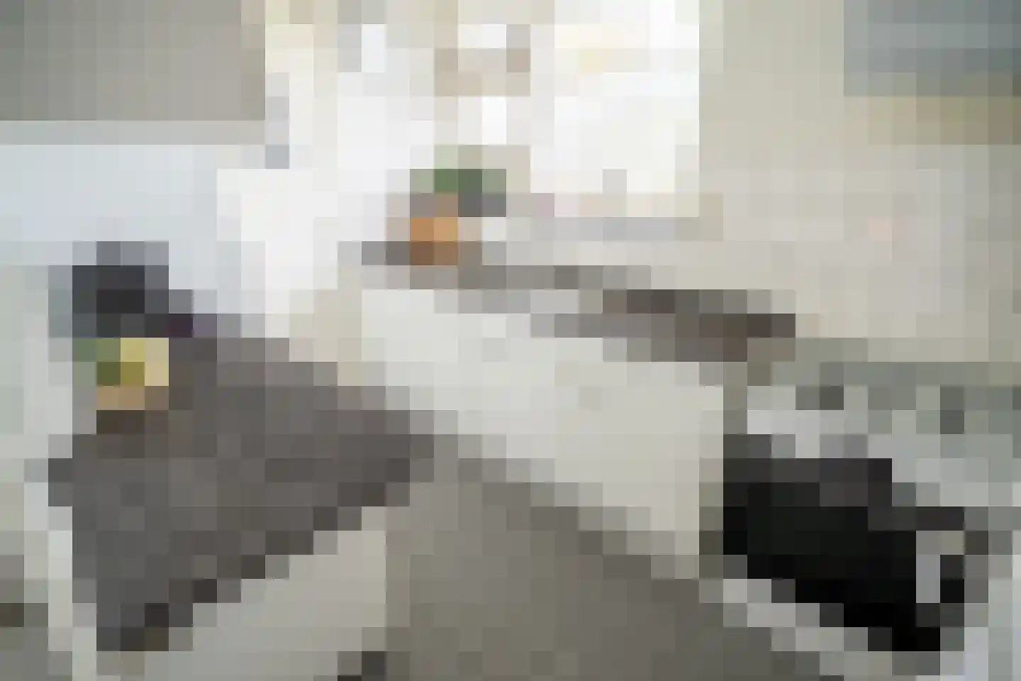 Aert van Neslaan 316 Oegstgeest thumbnail 33