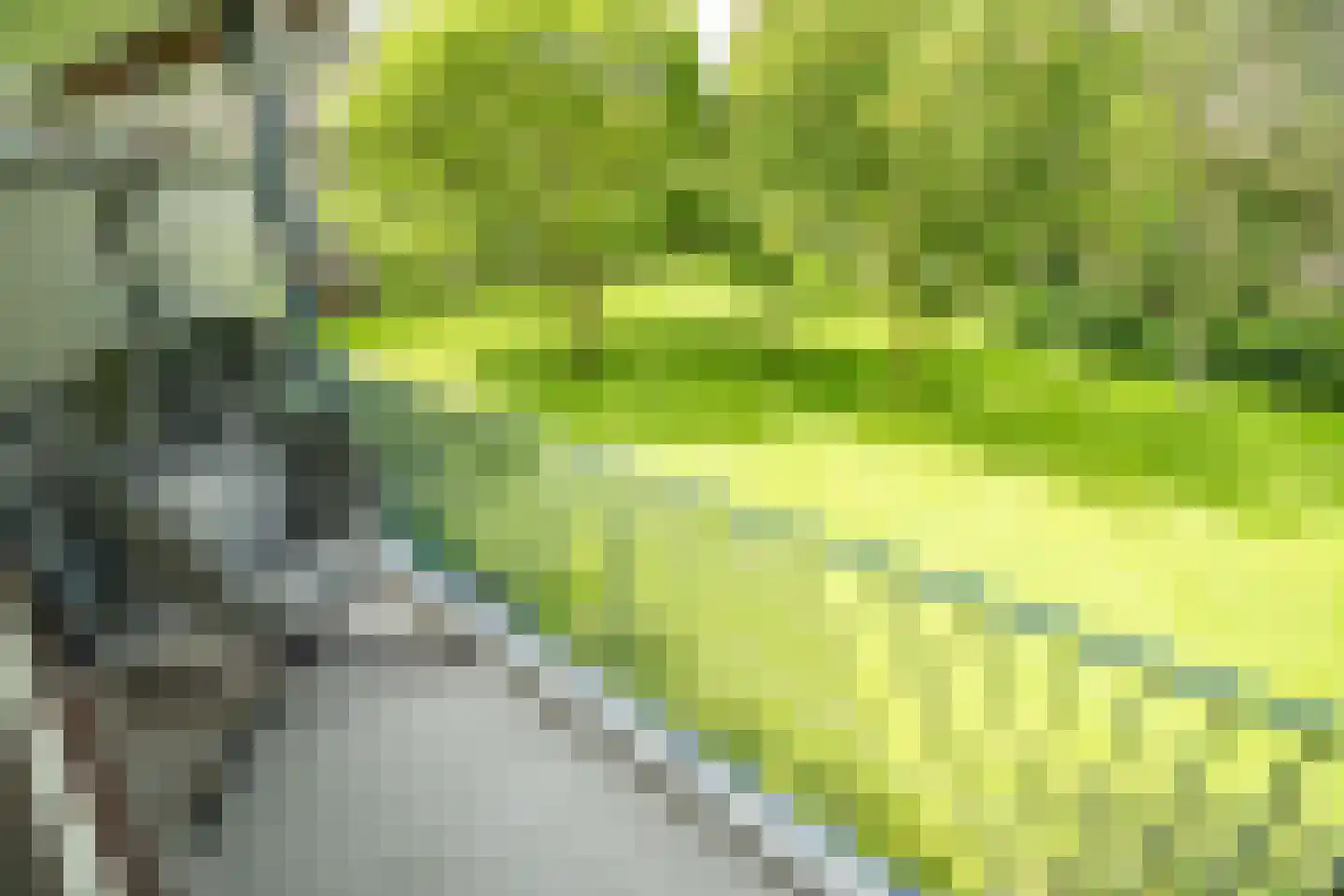 Aert van Neslaan 316 Oegstgeest thumbnail 4