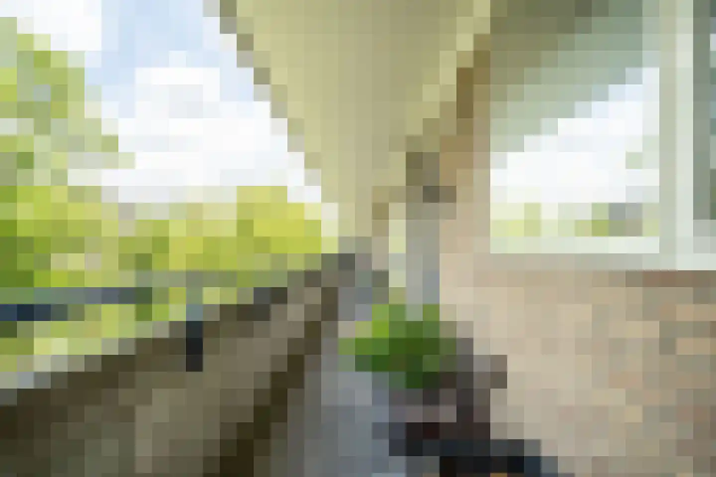 Aert van Neslaan 316 Oegstgeest thumbnail 44