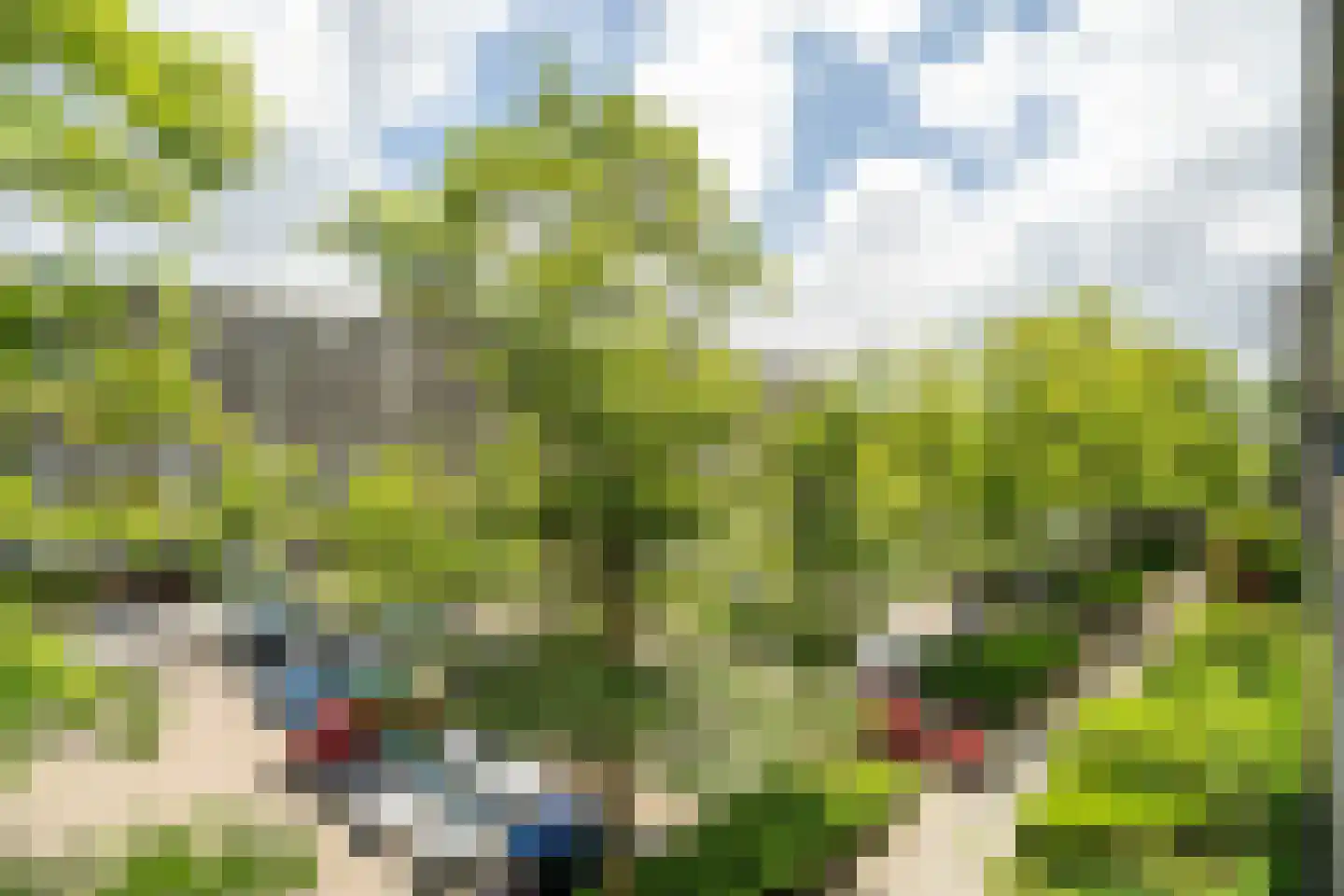 Aert van Neslaan 316 Oegstgeest thumbnail 45