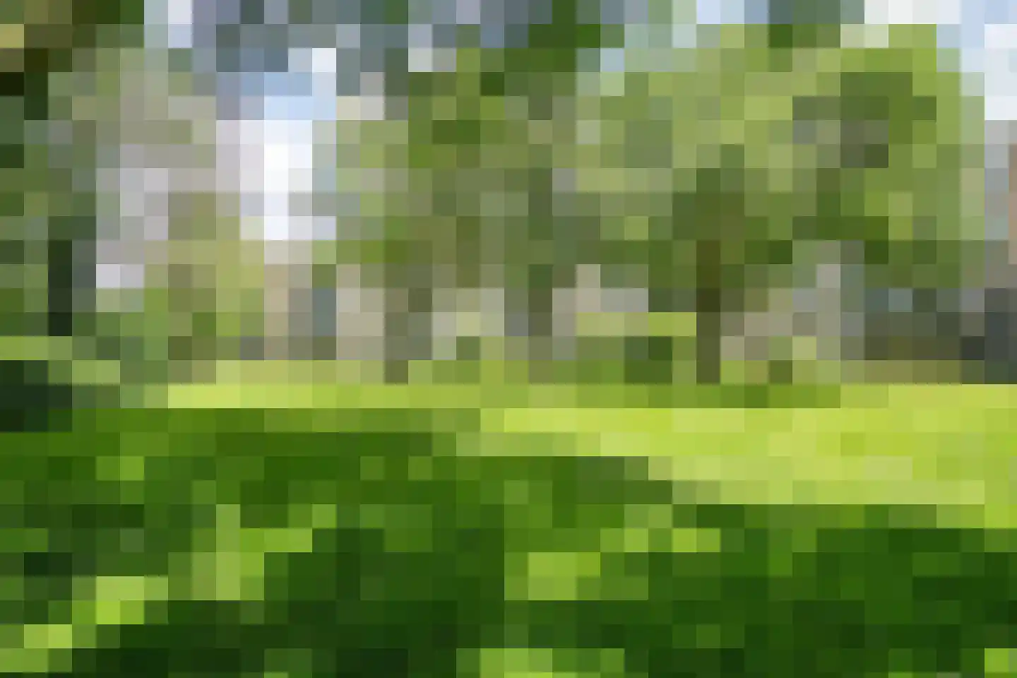 Aert van Neslaan 316 Oegstgeest thumbnail 56