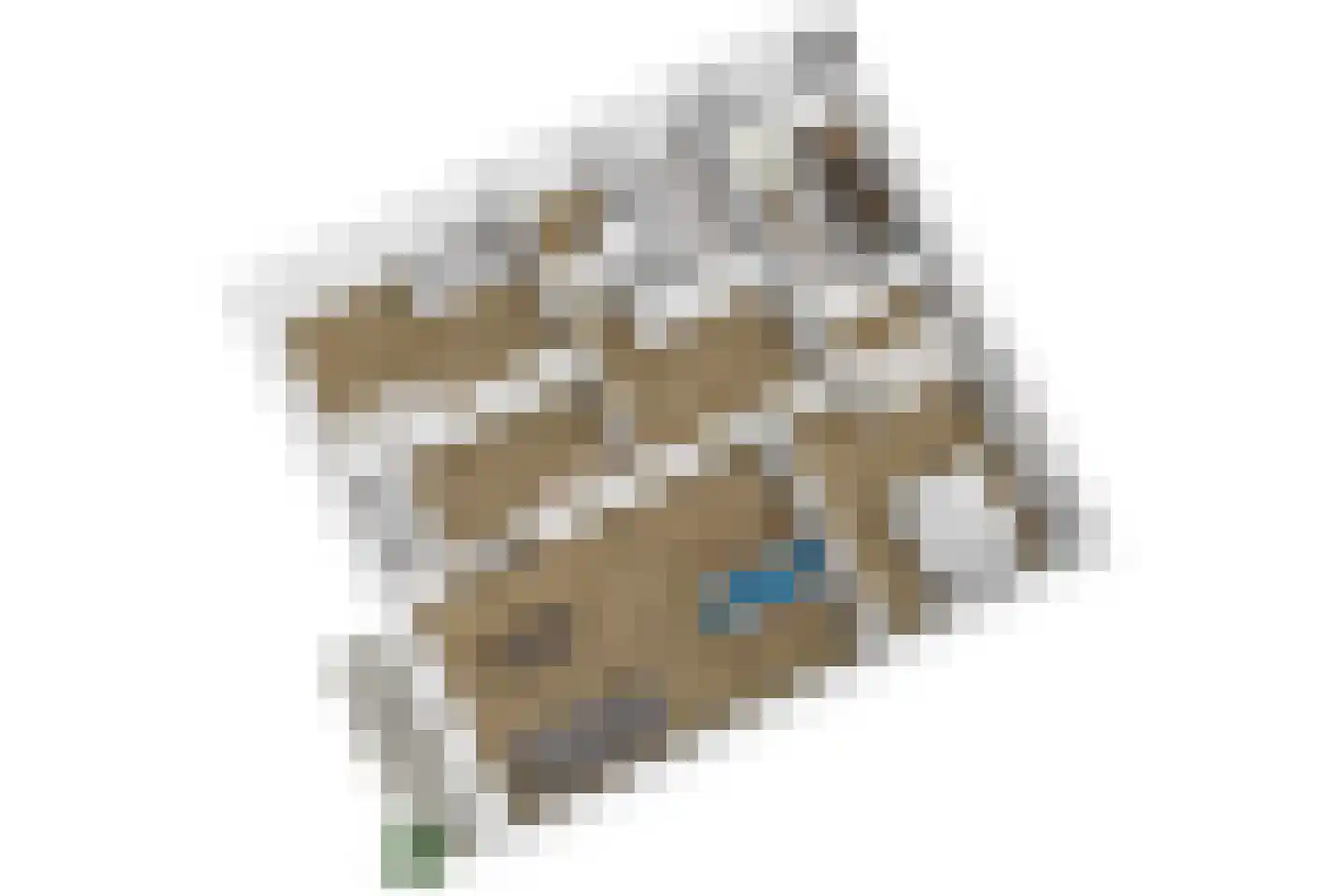 Aert van Neslaan 316 Oegstgeest thumbnail 61