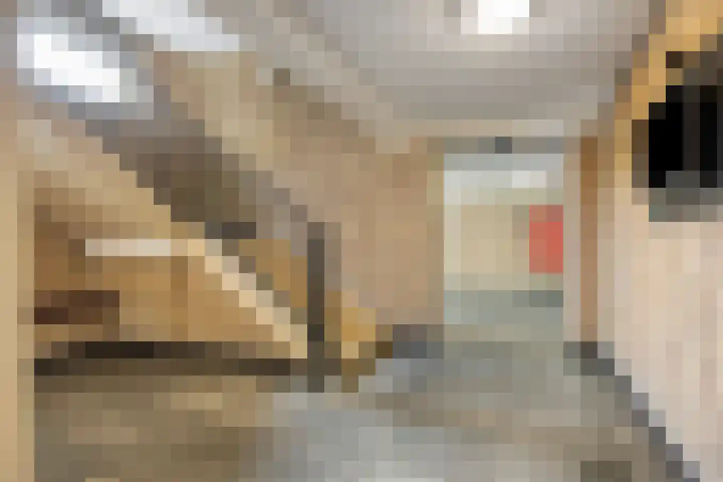 Aert van Neslaan 322 Oegstgeest thumbnail 16