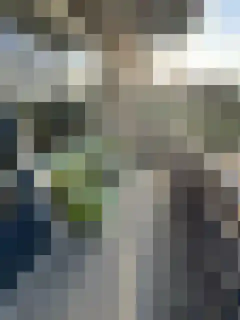Aert van Neslaan 322 Oegstgeest thumbnail 29