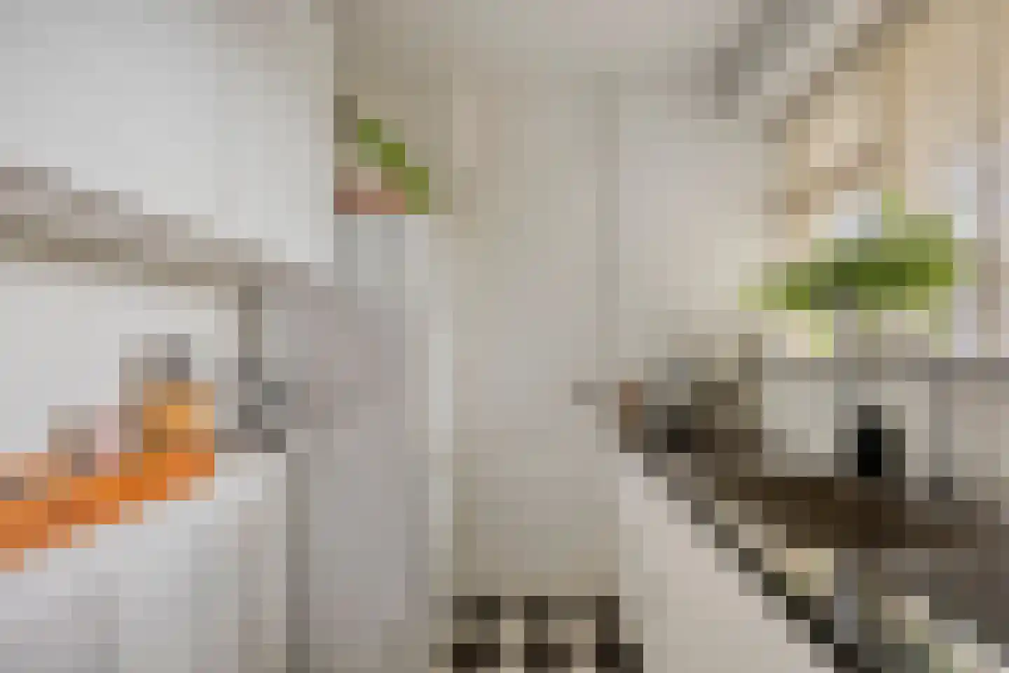 Aert van Neslaan 322 Oegstgeest thumbnail 32