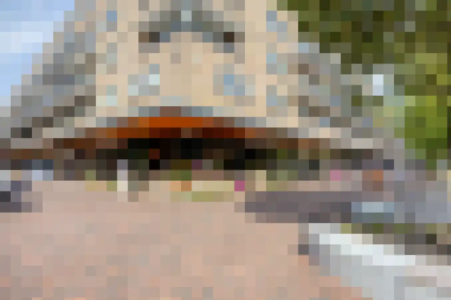 Aert van Neslaan 322 Oegstgeest thumbnail 43
