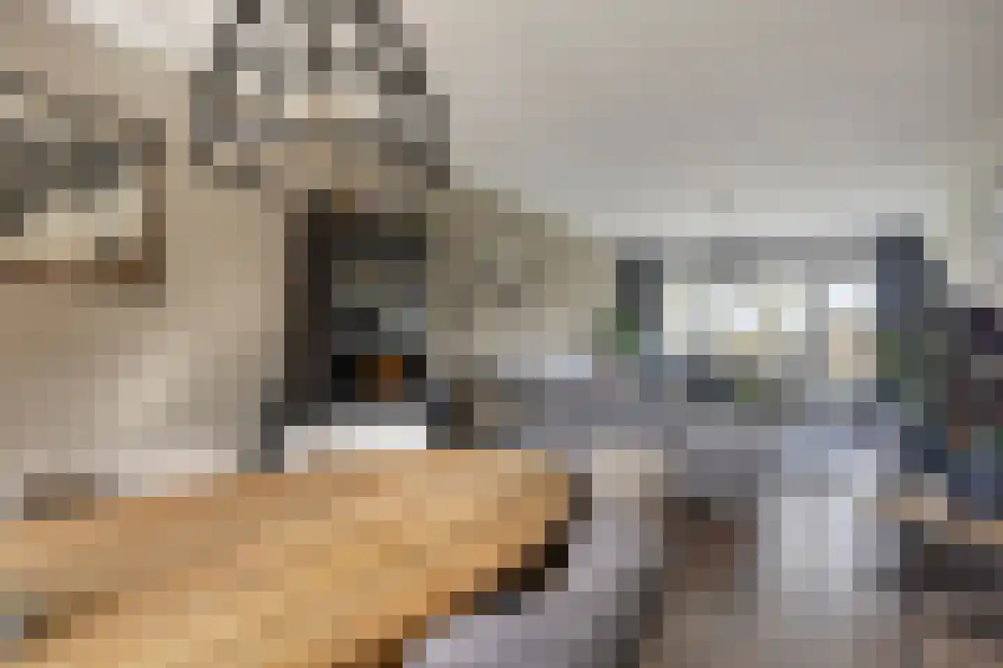 Aert van Neslaan 326 Oegstgeest thumbnail 19