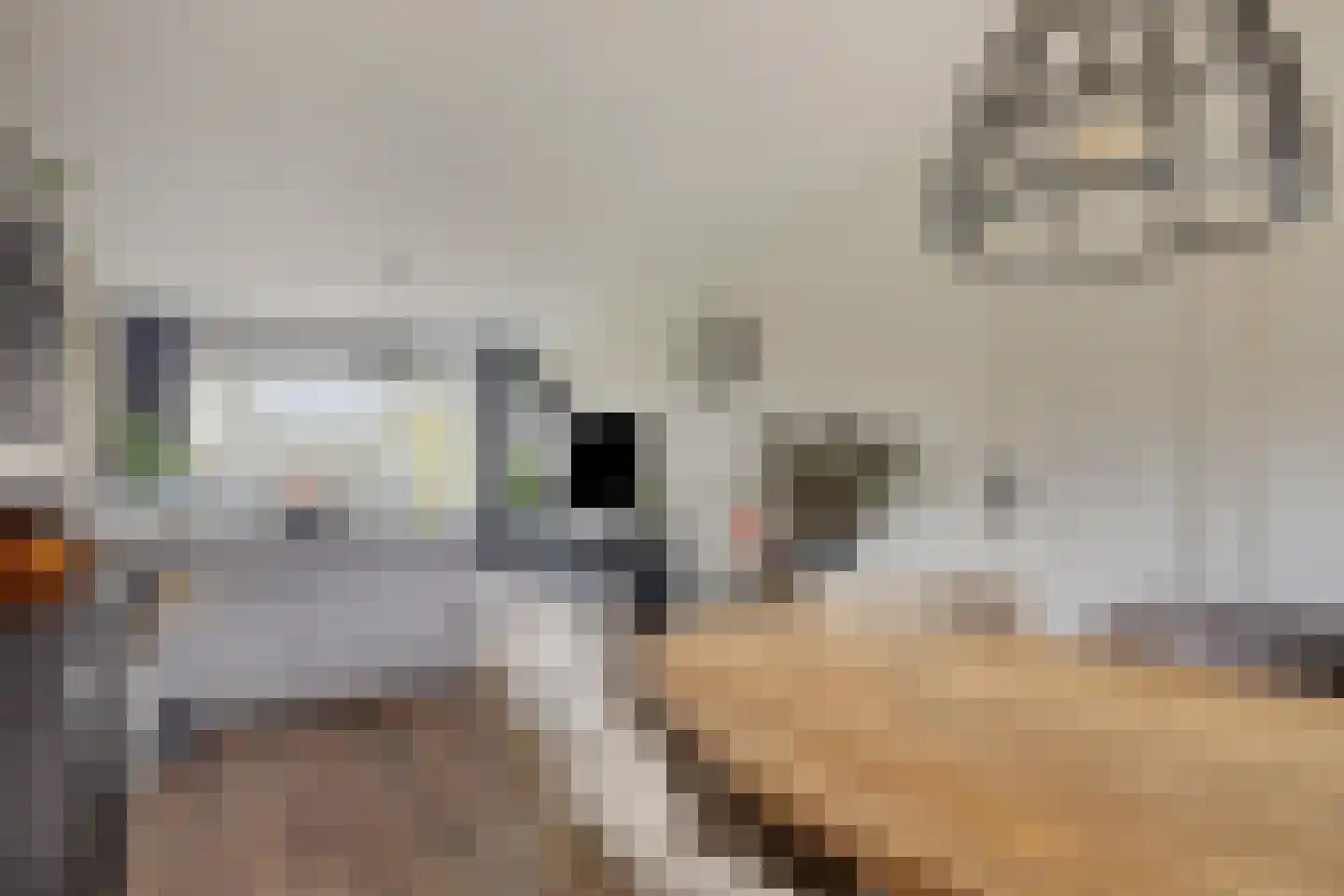 Aert van Neslaan 326 Oegstgeest thumbnail 20