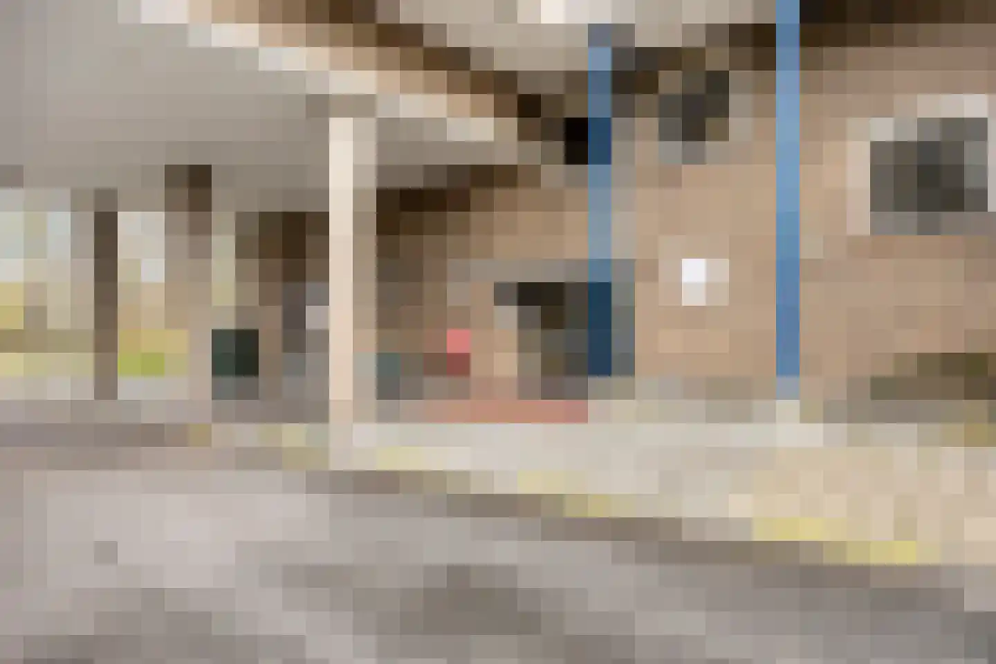 Aert van Neslaan 326 Oegstgeest thumbnail 5