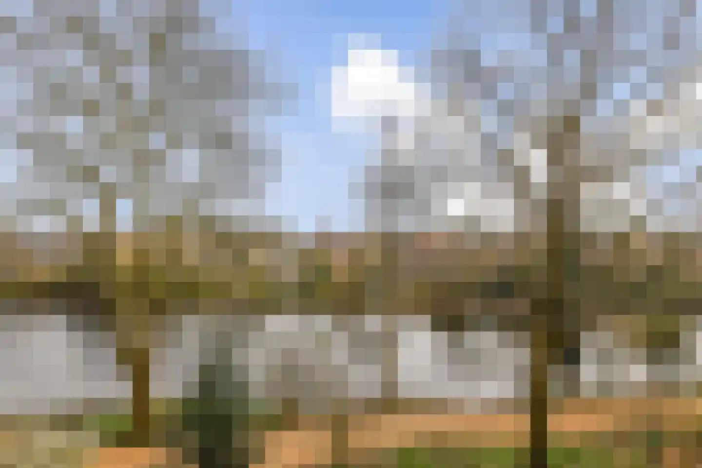 Aert van Neslaan 338 Oegstgeest thumbnail 17