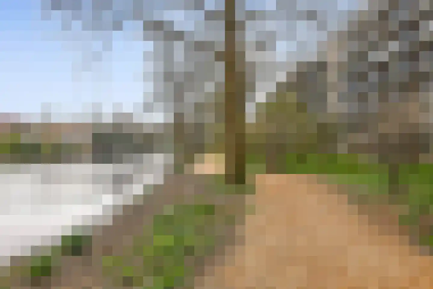 Aert van Neslaan 338 Oegstgeest thumbnail 18