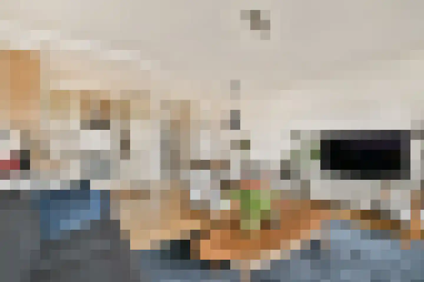 Aert van Neslaan 338 Oegstgeest thumbnail 9