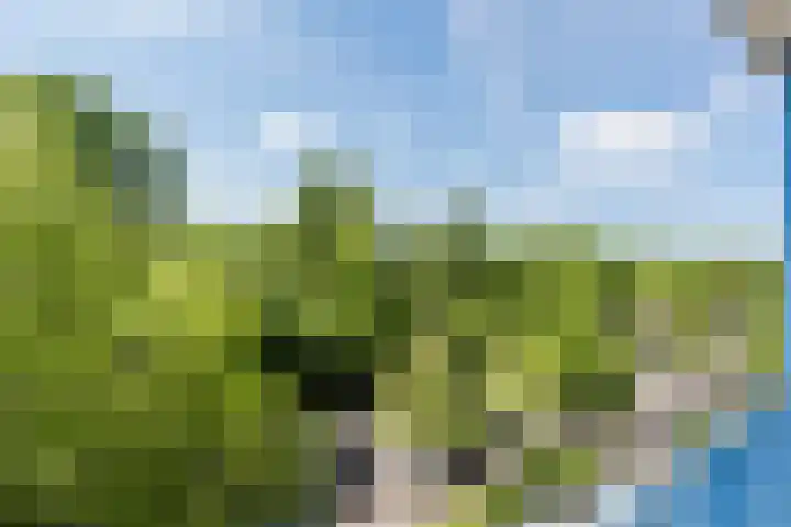 Aert van Neslaan 406 Oegstgeest thumbnail 27