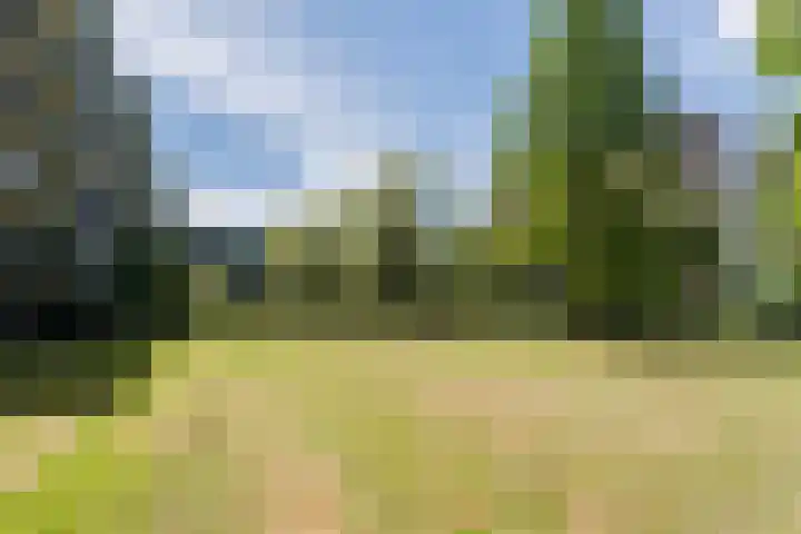 Aert van Neslaan 406 Oegstgeest thumbnail 30