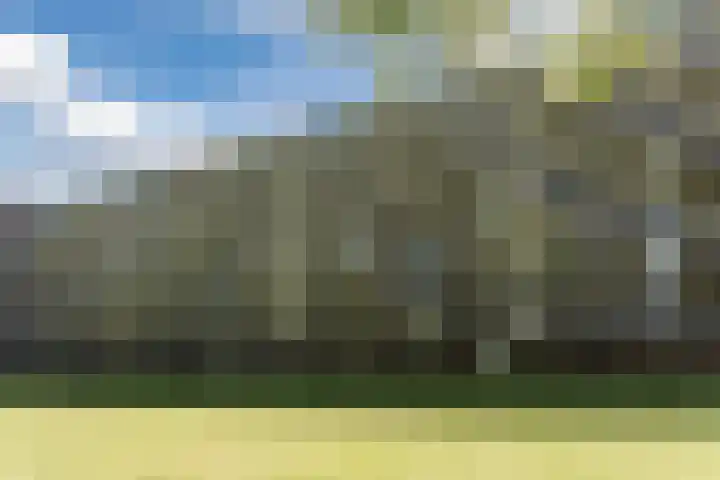 Aert van Neslaan 406 Oegstgeest thumbnail 31