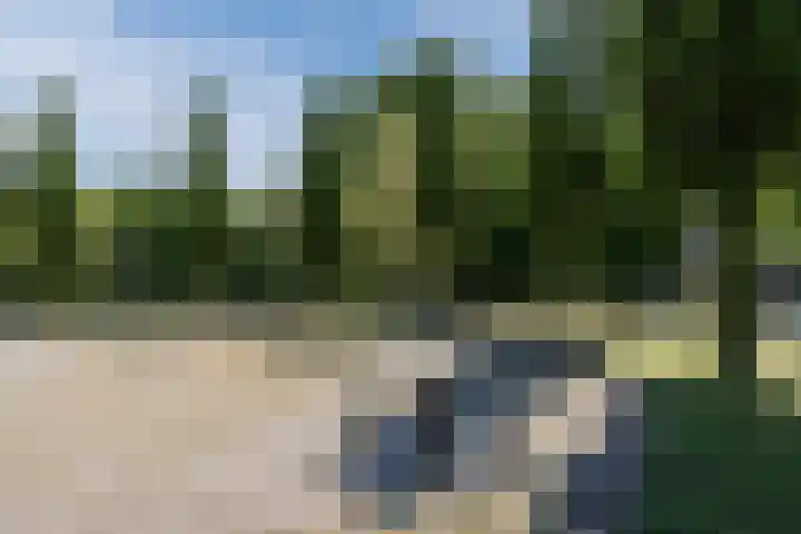 Aert van Neslaan 406 Oegstgeest thumbnail 34