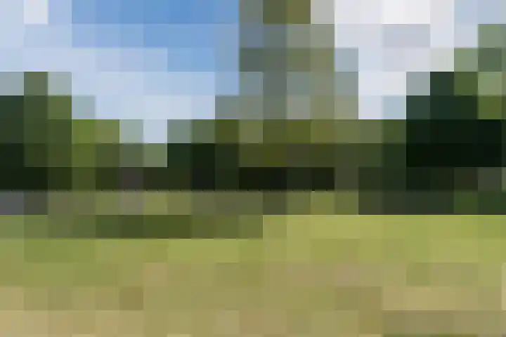 Aert van Neslaan 406 Oegstgeest thumbnail 35