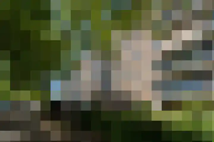 Aert van Neslaan 406 Oegstgeest thumbnail 4