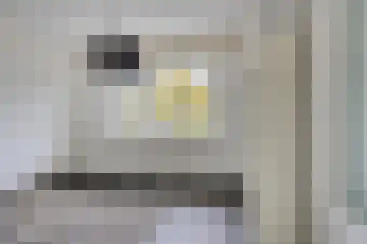 Aert van Neslaan 411 Oegstgeest thumbnail 16