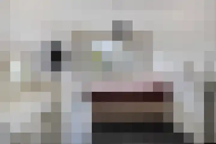 Aert van Neslaan 411 Oegstgeest thumbnail 21