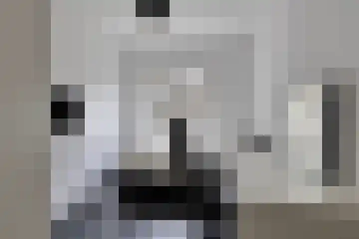 Aert van Neslaan 411 Oegstgeest thumbnail 23