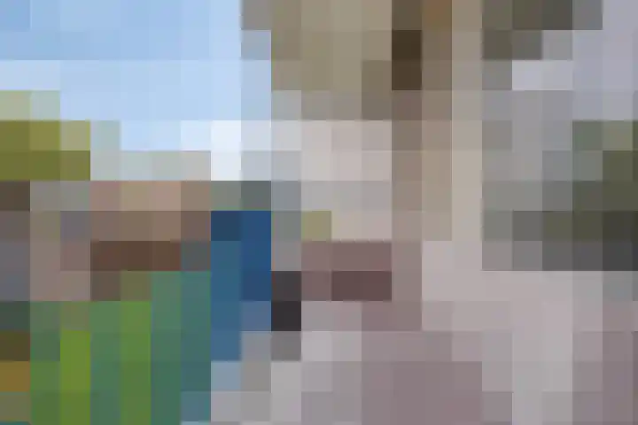 Aert van Neslaan 411 Oegstgeest thumbnail 27