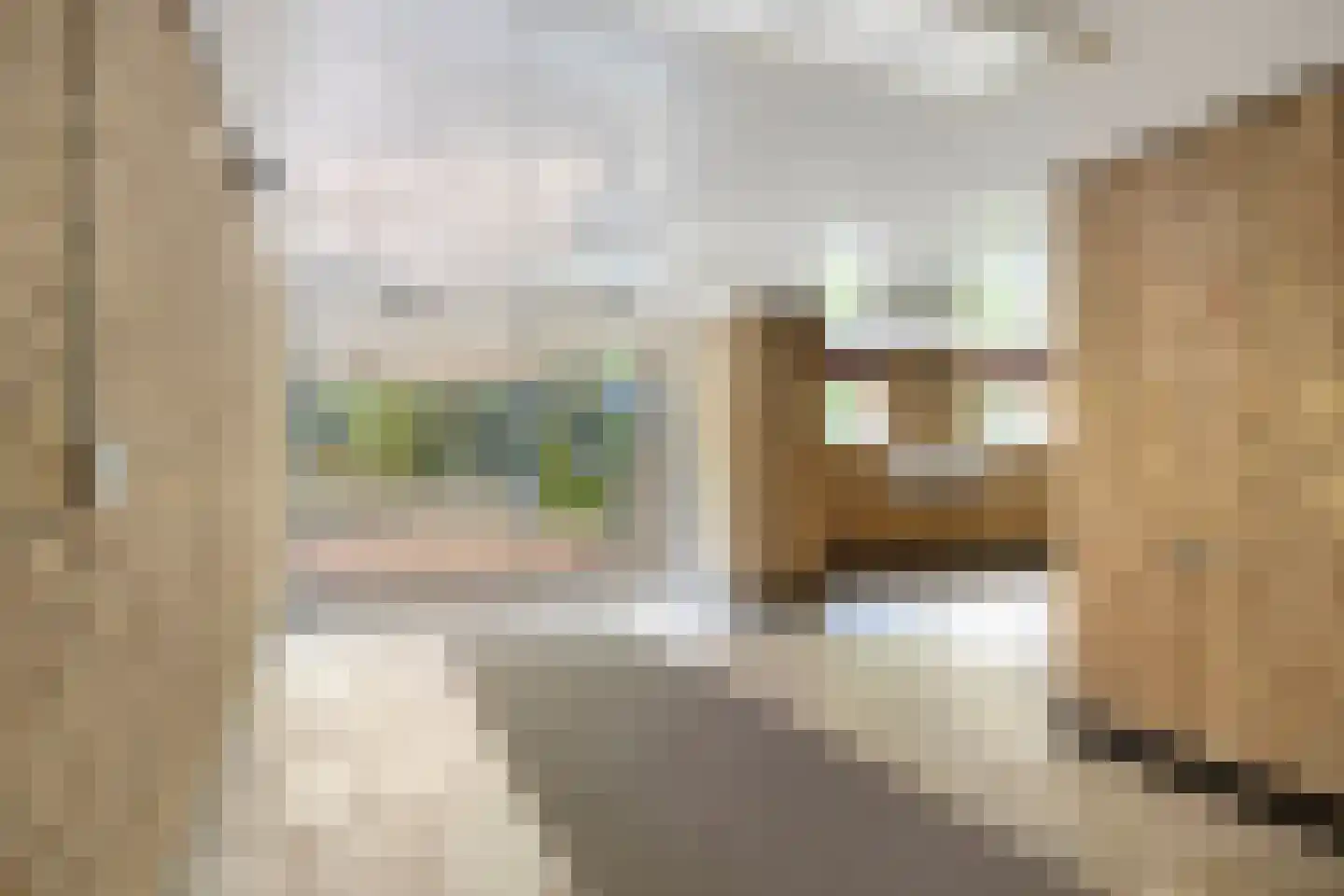 Aert van Neslaan 411 Oegstgeest thumbnail 28