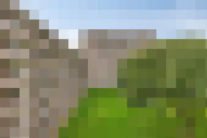 Aert van Neslaan 411 Oegstgeest thumbnail 29