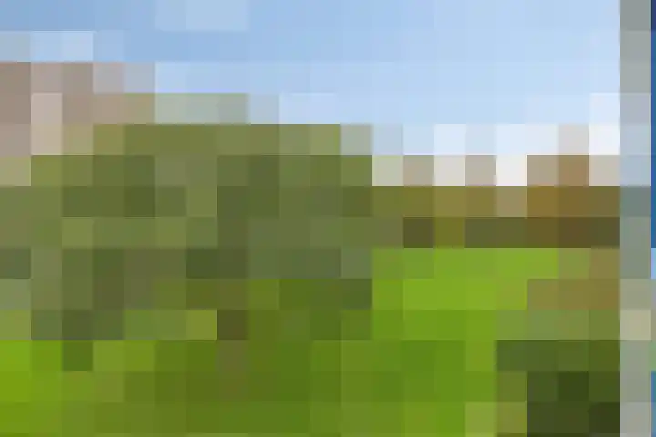 Aert van Neslaan 411 Oegstgeest thumbnail 30