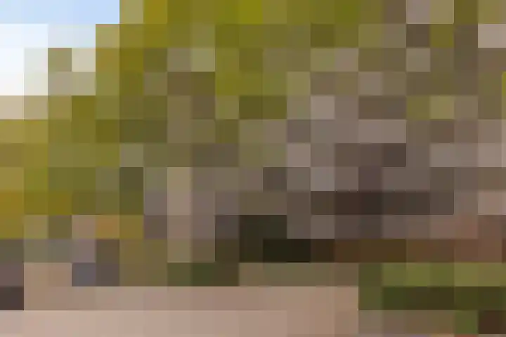 Aert van Neslaan 411 Oegstgeest thumbnail 32