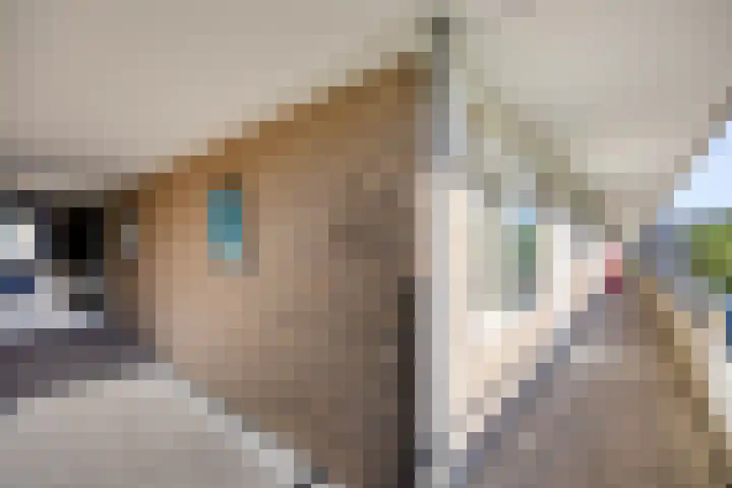 Aert van Neslaan 411 Oegstgeest thumbnail 32