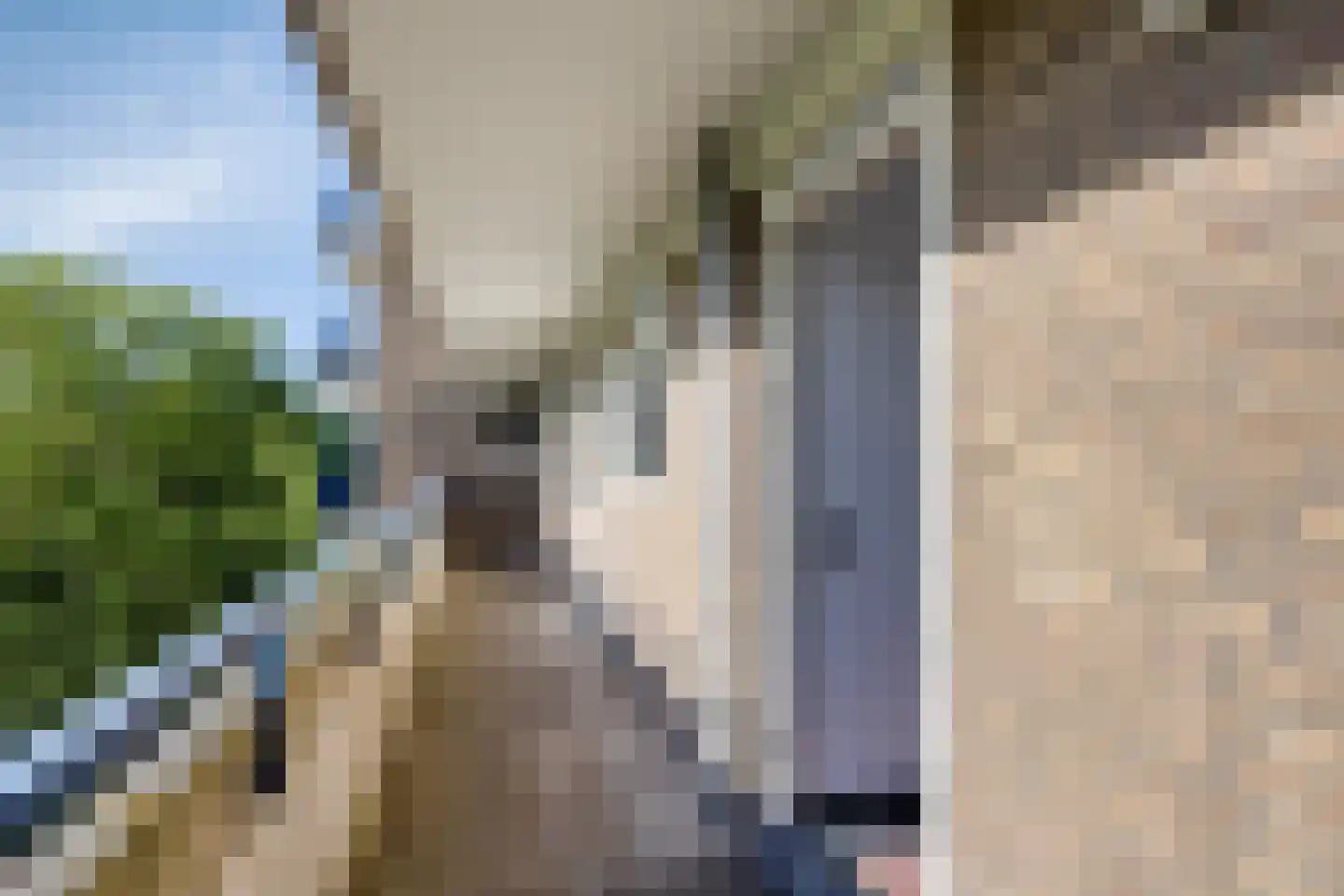 Aert van Neslaan 411 Oegstgeest thumbnail 33
