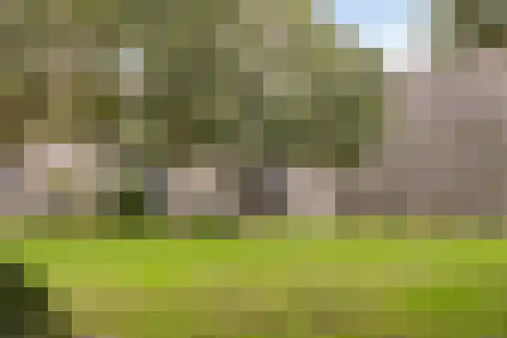 Aert van Neslaan 411 Oegstgeest thumbnail 34