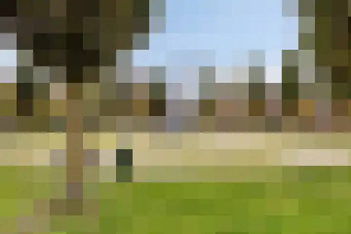Aert van Neslaan 411 Oegstgeest thumbnail 38