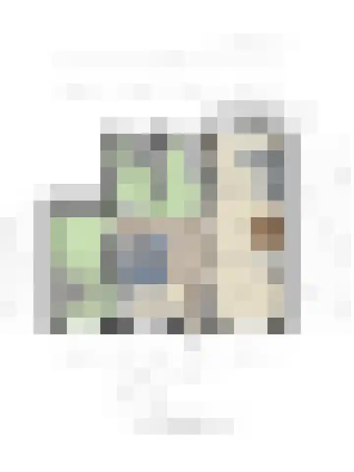 Aert van Neslaan 411 Oegstgeest thumbnail 39
