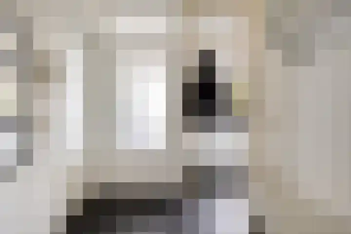 Aert van Neslaan 411 Oegstgeest thumbnail 5