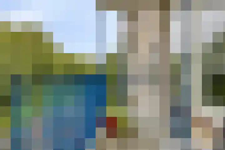 Aert van Neslaan 422 Oegstgeest thumbnail 25