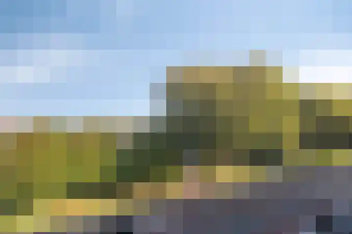 Aert van Neslaan 422 Oegstgeest thumbnail 34