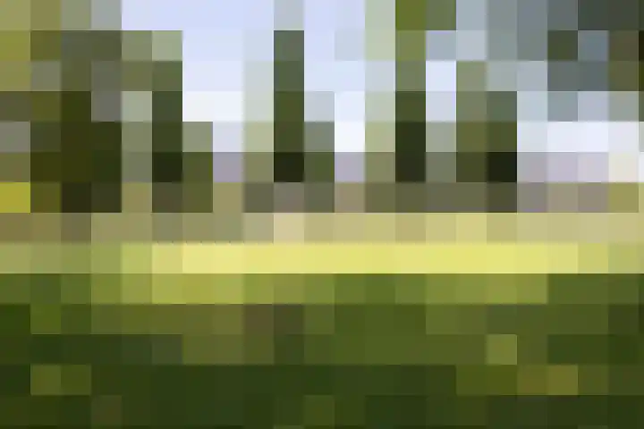 Aert van Neslaan 422 Oegstgeest thumbnail 37