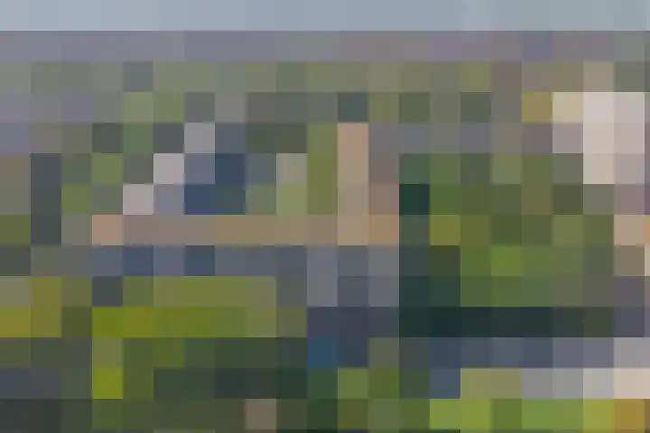 Aert van Neslaan 422 Oegstgeest thumbnail 39
