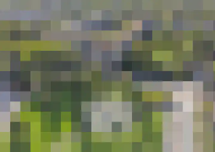 Aert van Neslaan 422 Oegstgeest thumbnail 44