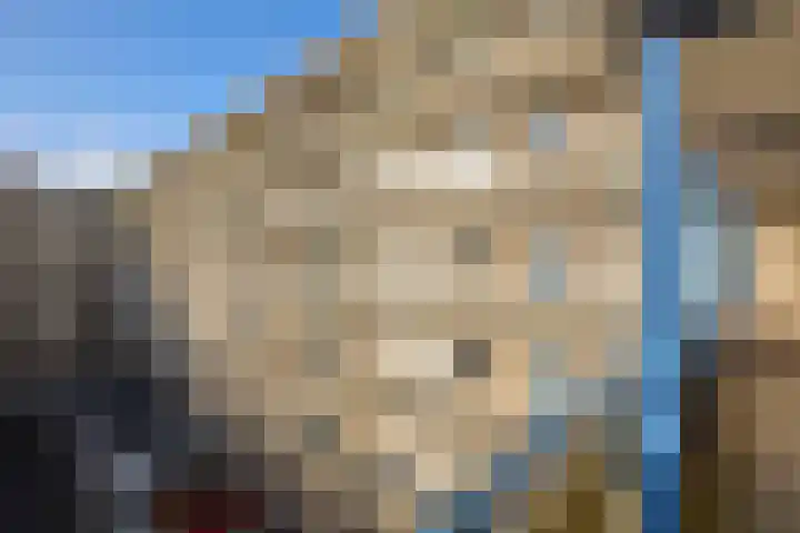 Aert van Neslaan 426 Oegstgeest thumbnail 17